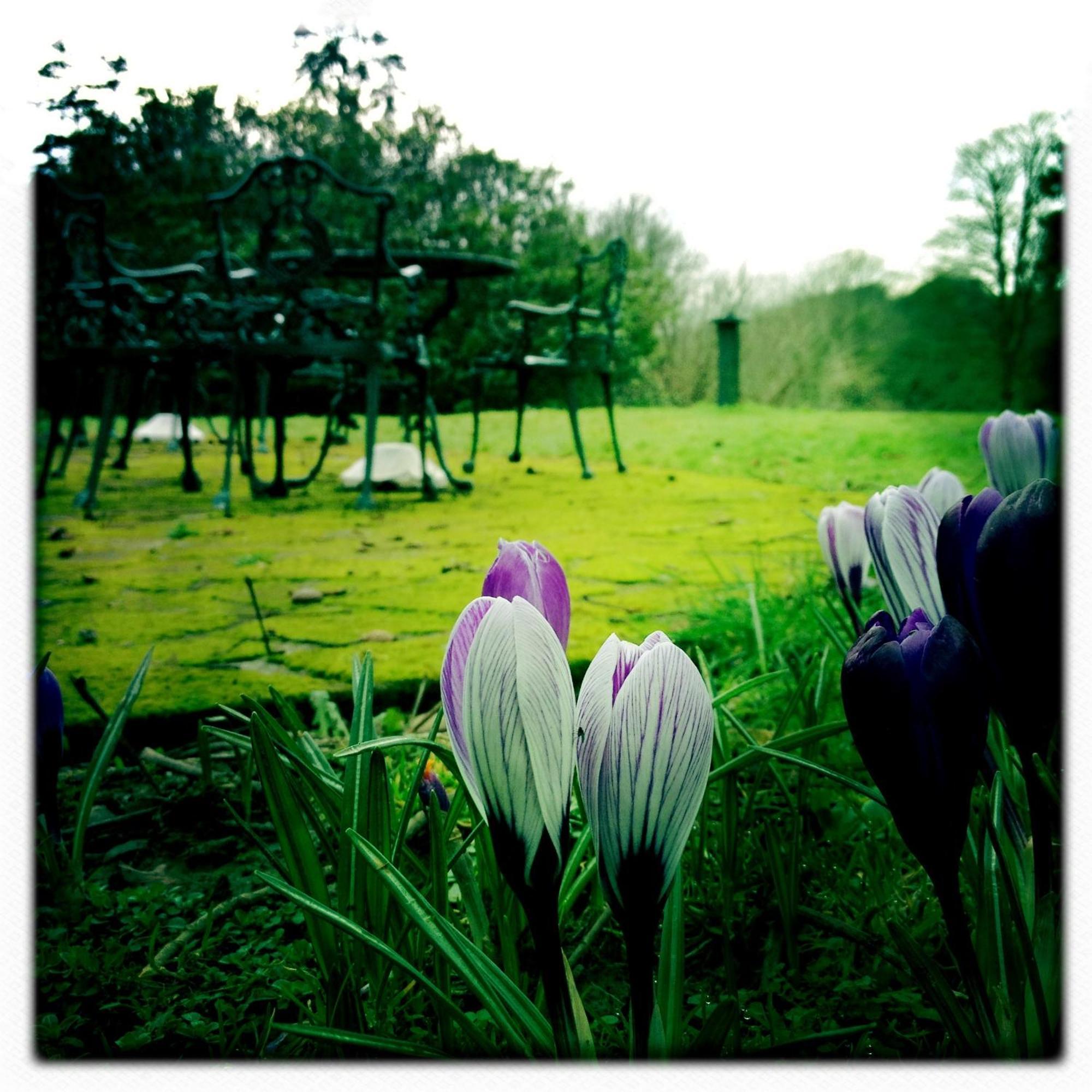 The Lake Country House Hotel & Spa Llangammarch Wells Eksteriør billede